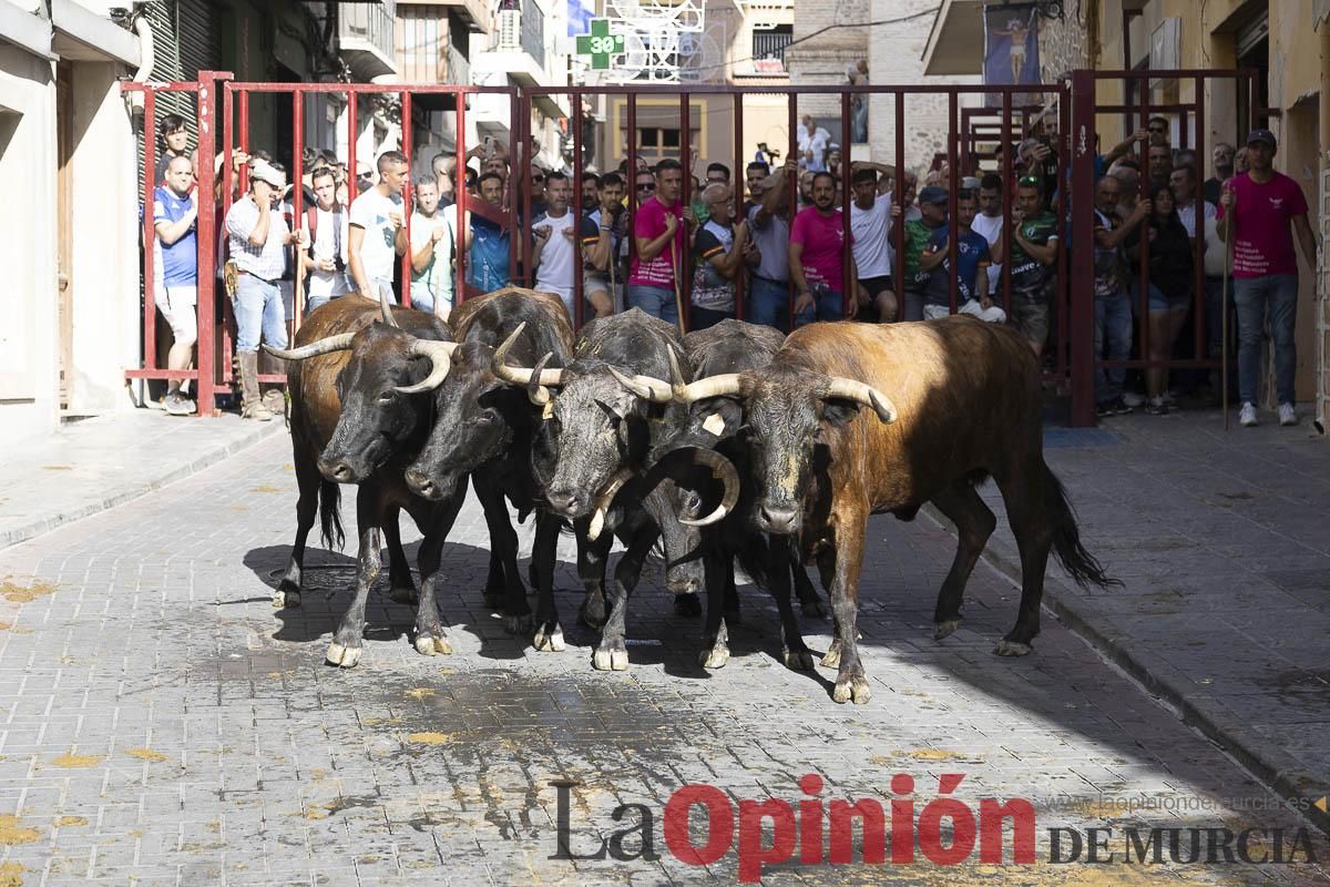 Cuarto encierro en las Fiestas de Moratalla