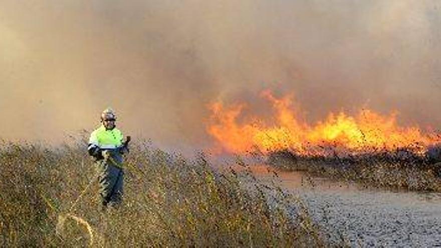 Controlado el incendio del parque natural Prat de Cabanes-Torreblanca
