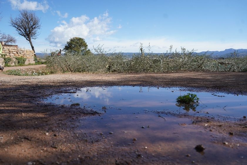 Transéquia 2024: Busca't a les fotos