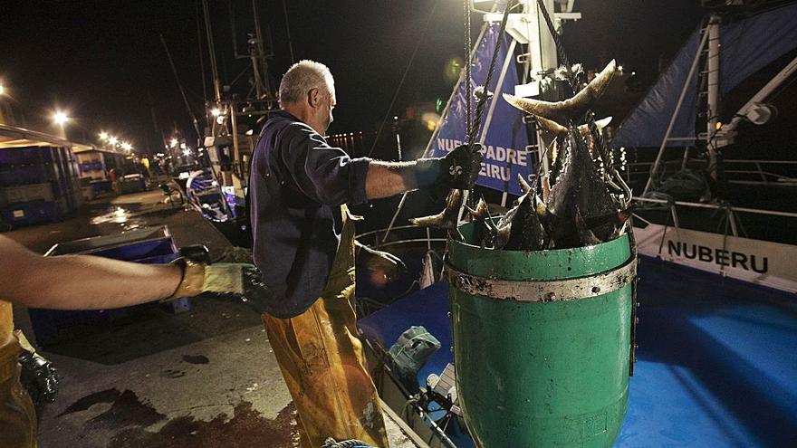 La costera de bonito entra en la recta final con el pescado lejos de la costa y precios bajos