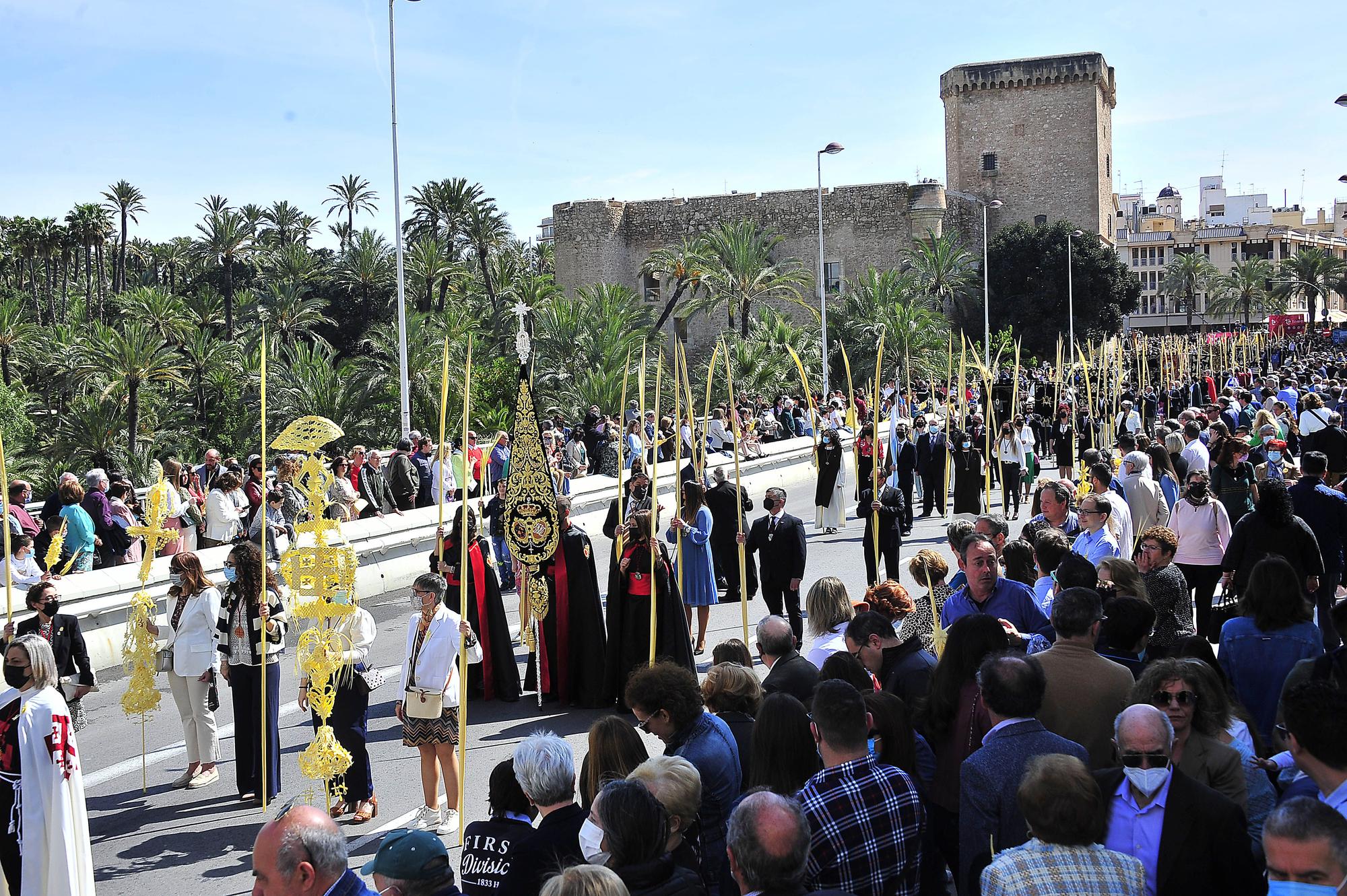 Domingo de Ramos en Elche