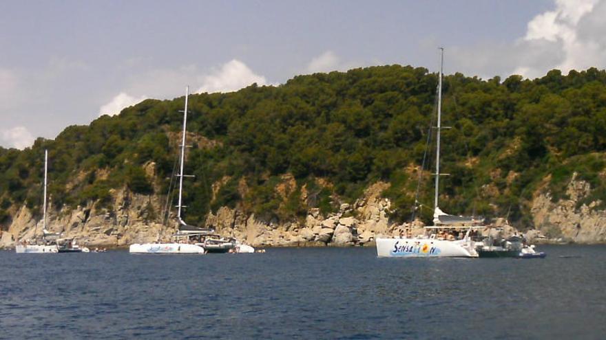 Tres catamarans que porten turistes a passar el dia ballant i banyant-se.