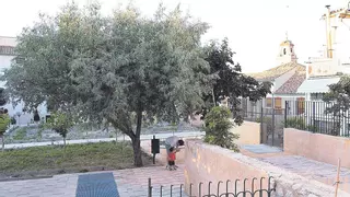 Caravaca recupera sus raíces verdes