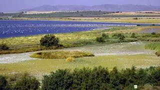 La laguna natural más grande de toda Andalucía está en Málaga y tiene una belleza única: es la más importante de España por este motivo