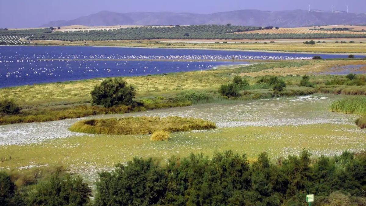 La laguna más grande de toda Andalucía está en Málaga