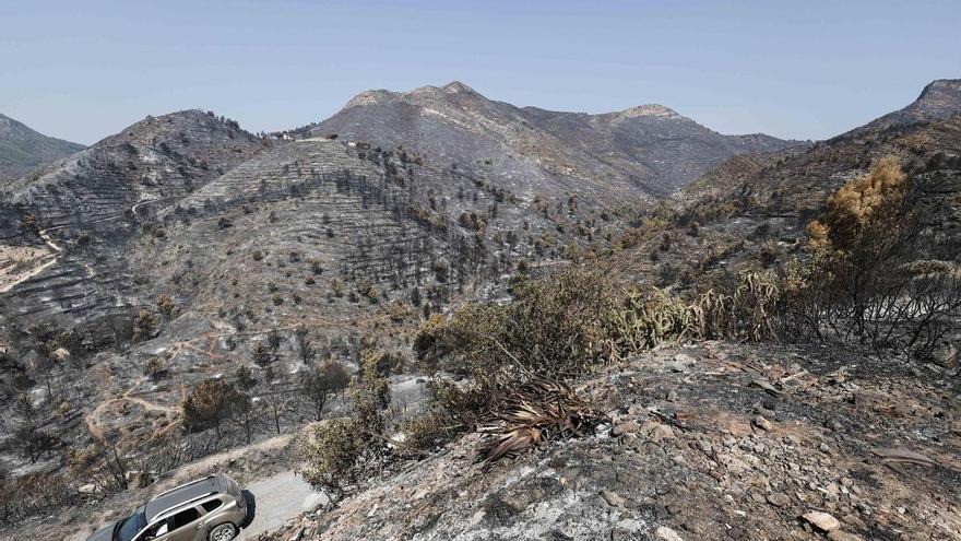 El incendio de Castellón sigue sin ser estabilizado y la situación es favorable en Zamora