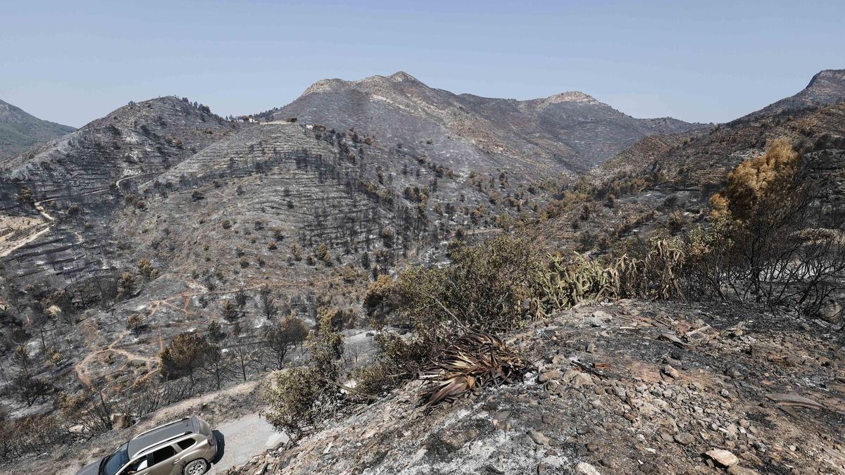 INCENDIOS FORESTALES | El incendio de Castellón sigue sin ser estabilizado y la situación es favorable en Zamora