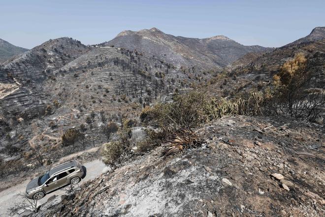 El incendio de Castellón sigue sin ser estabilizado y la situación es favorable en Zamora