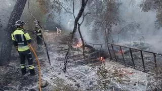 Alarma por un incendio en una zona forestal en es Canar