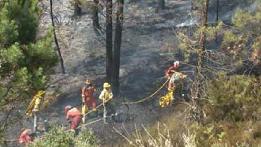 Los incendios forestales bajan un 41% este año en Extremadura