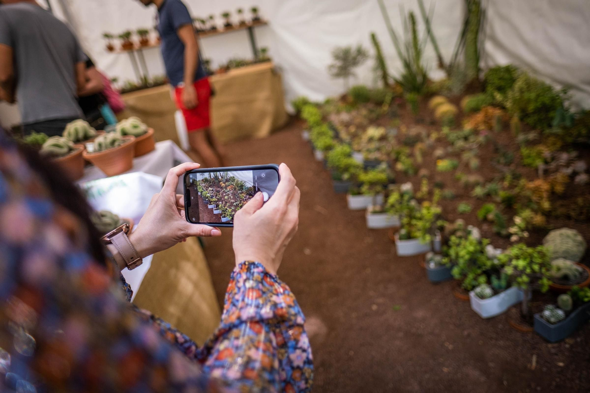 Inauguración de la exposición de flores y plantas del Parque García Sanabria