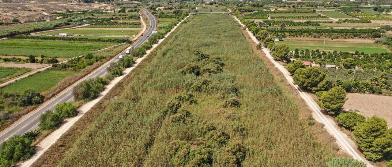 La limpieza del cauce del río es una de las medidas más demandadas. En la imagen, su tramo final lleno de cañas, el pasado septiembre. | TONY SEVILLA