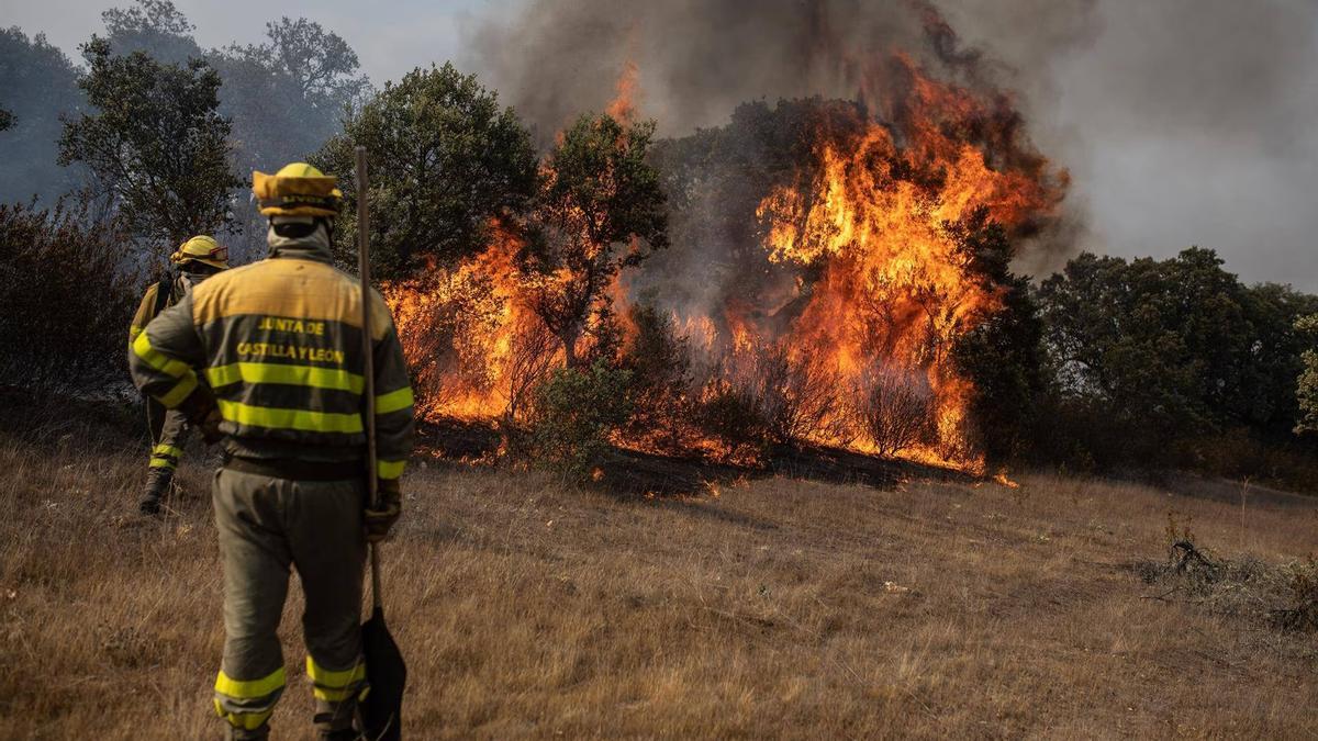 Varios efectivos trabajan en la extinción del fuego en un incendio registrado en julio y agosto de 2022 en Losacio (Zamora).