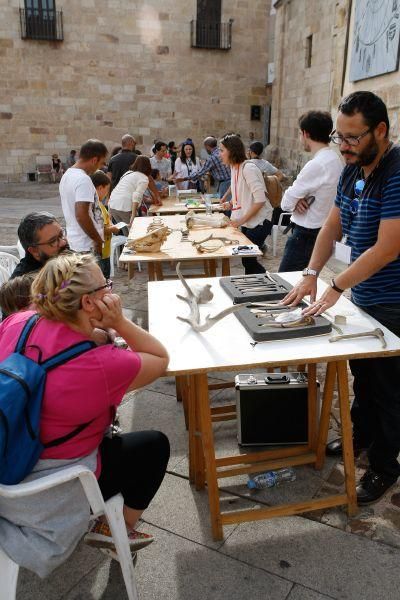 Talleres en el Museo de Zamora