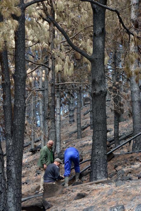 INCENDIO CUMBRE