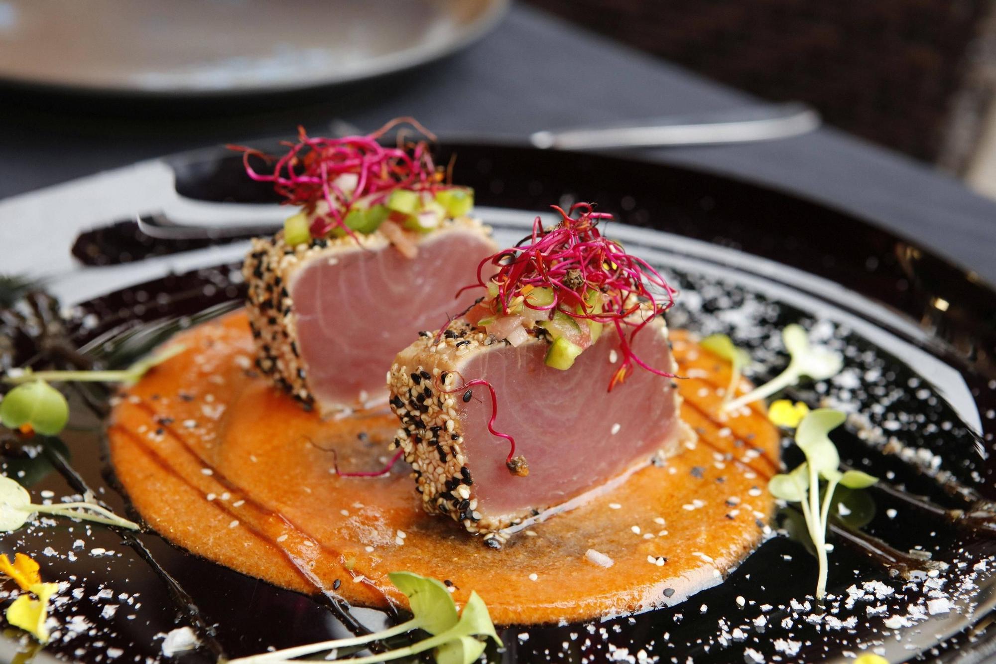 Das Thunfisch-Tataki auf Salmorejo-Sauce (Testportion).