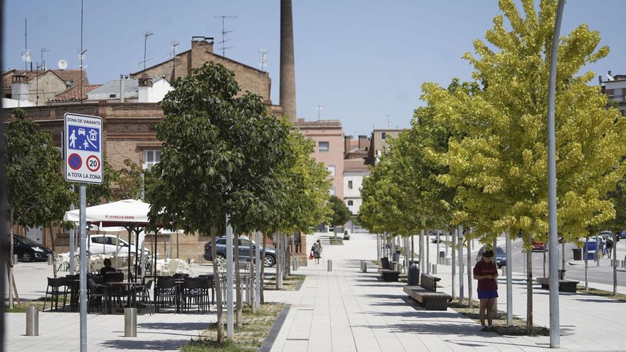 Manresa, una ciutat amb 35.000 arbres?