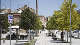 Manresa, una ciutat amb 35.000 arbres?
