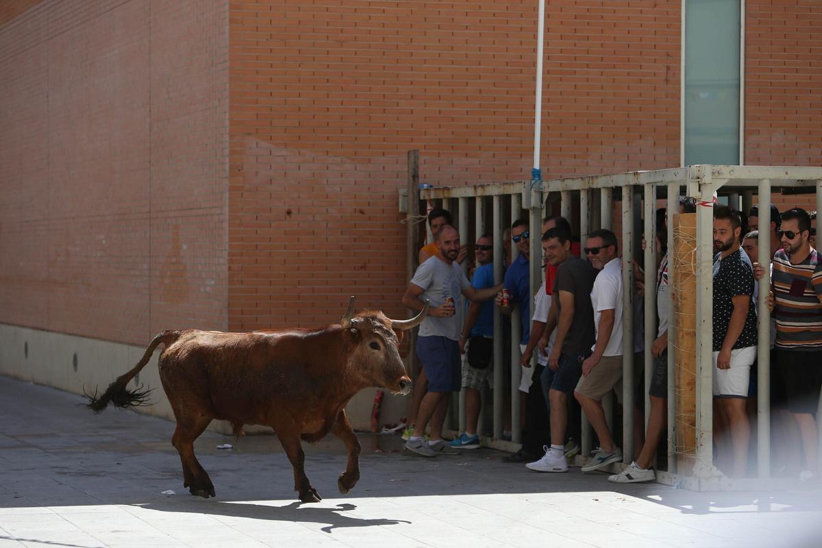 Imagen de archivo de un espectáculo taurino en un barrio de Castelló.