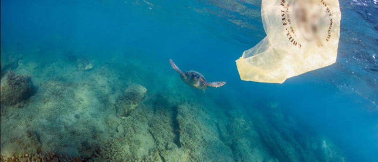 Canarias ofrece incentivos para  la sustitución del plástico