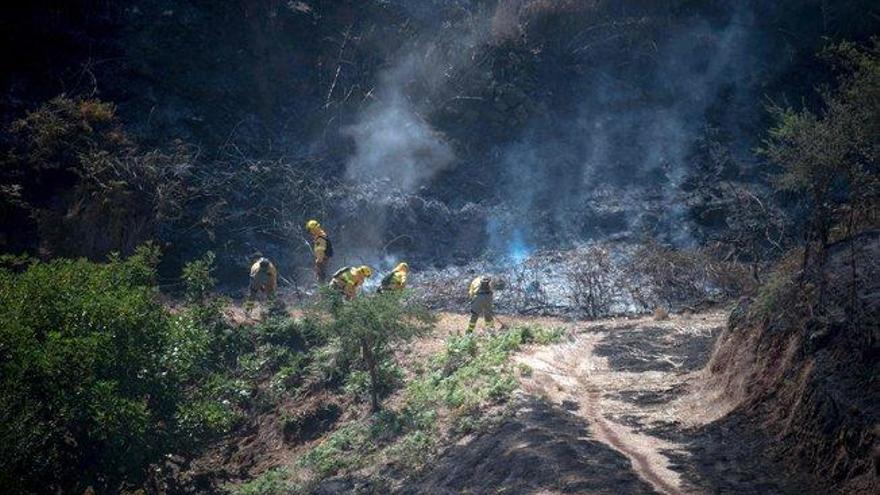 El incendio de Gran Canaria, en fase de estabilización