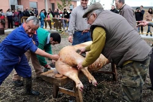 Matanza tradicional en Monfarracinos