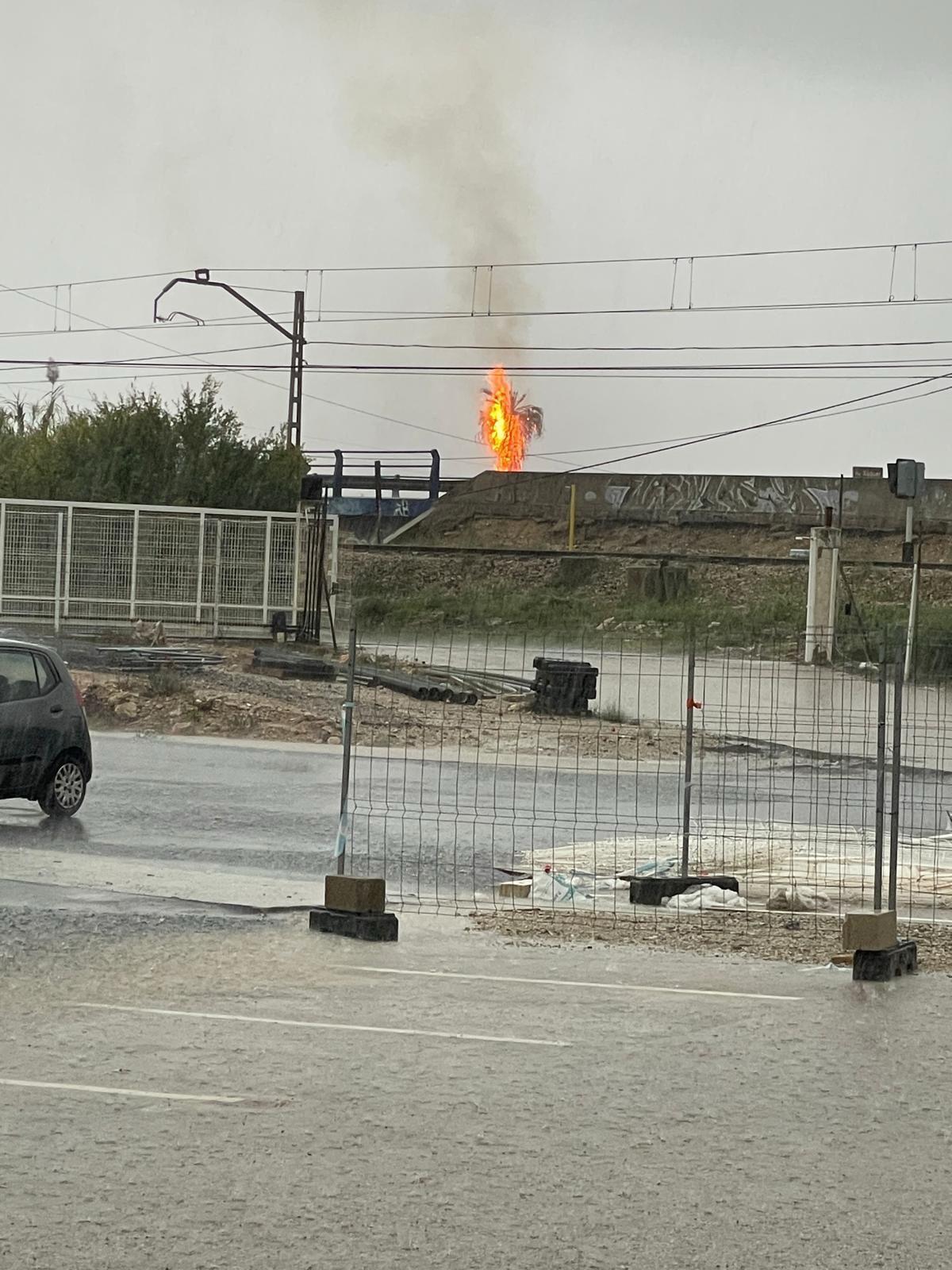 Uno de los tres rayos provoca un incendio en una palmera.