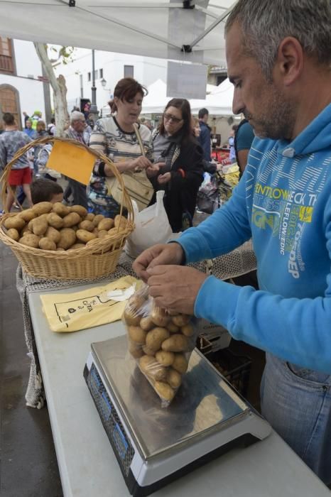 Fiesta de la Papa