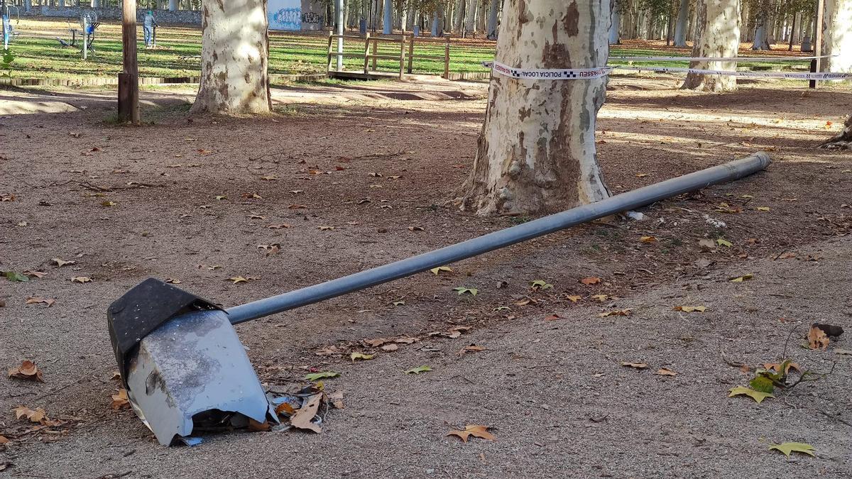 El fanal que ha caigut al parc de la Devesa