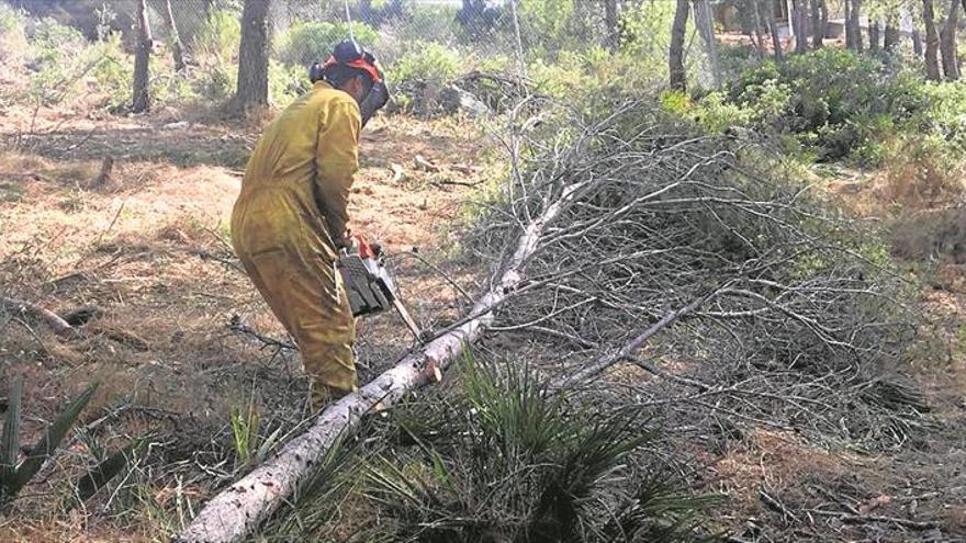 Orpesa inicia un plan contra incendios en parcelas públicas