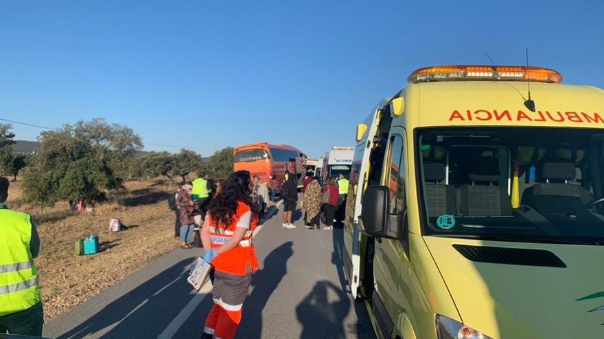 Un zorro provocó el accidente del autobús que salió de Madrid a Fátima