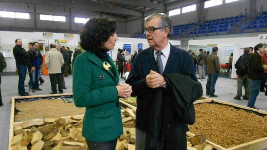 Sandra González y Francisco Fernández de Ana Magán, en el recinto de la Mostra.  // E.G.