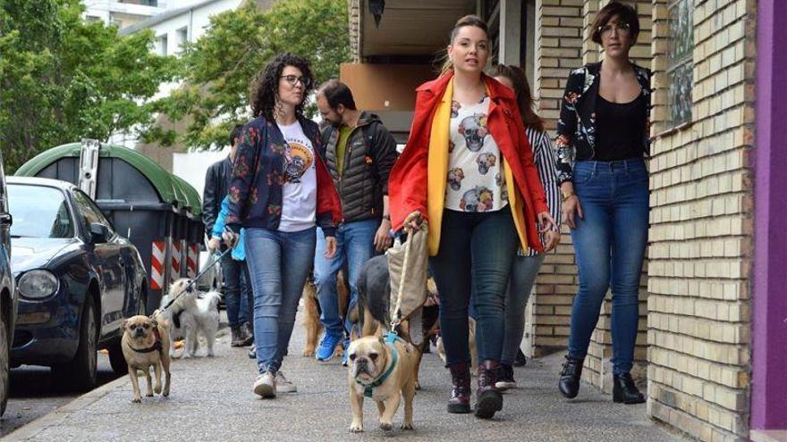 Familia y disfrute del tiempo libre en el día de reflexión de los candidatos