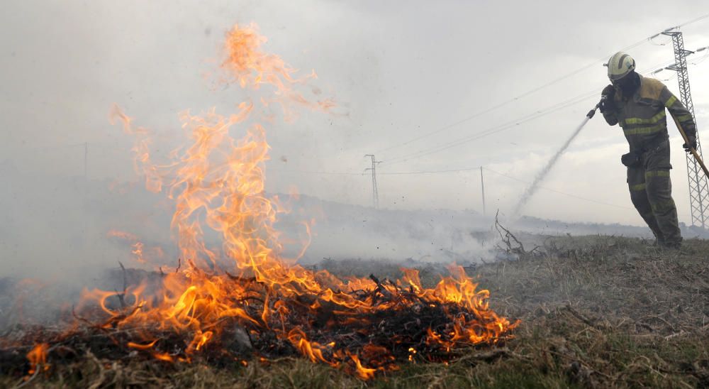 Arde Galicia | El fuego devora el Sur de Galicia