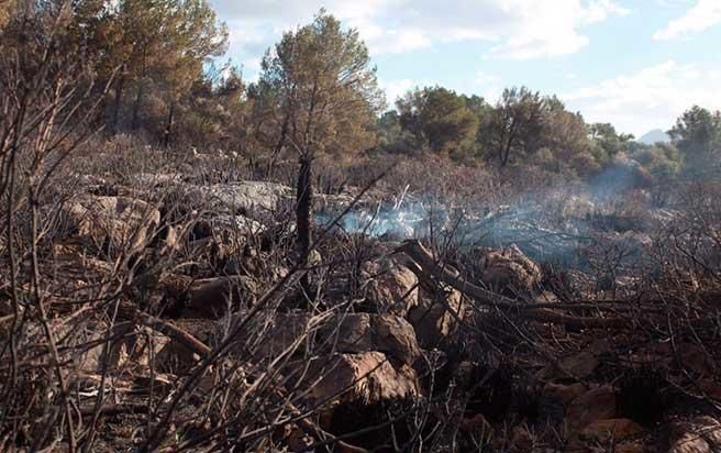 Pollença nach dem Waldbrand