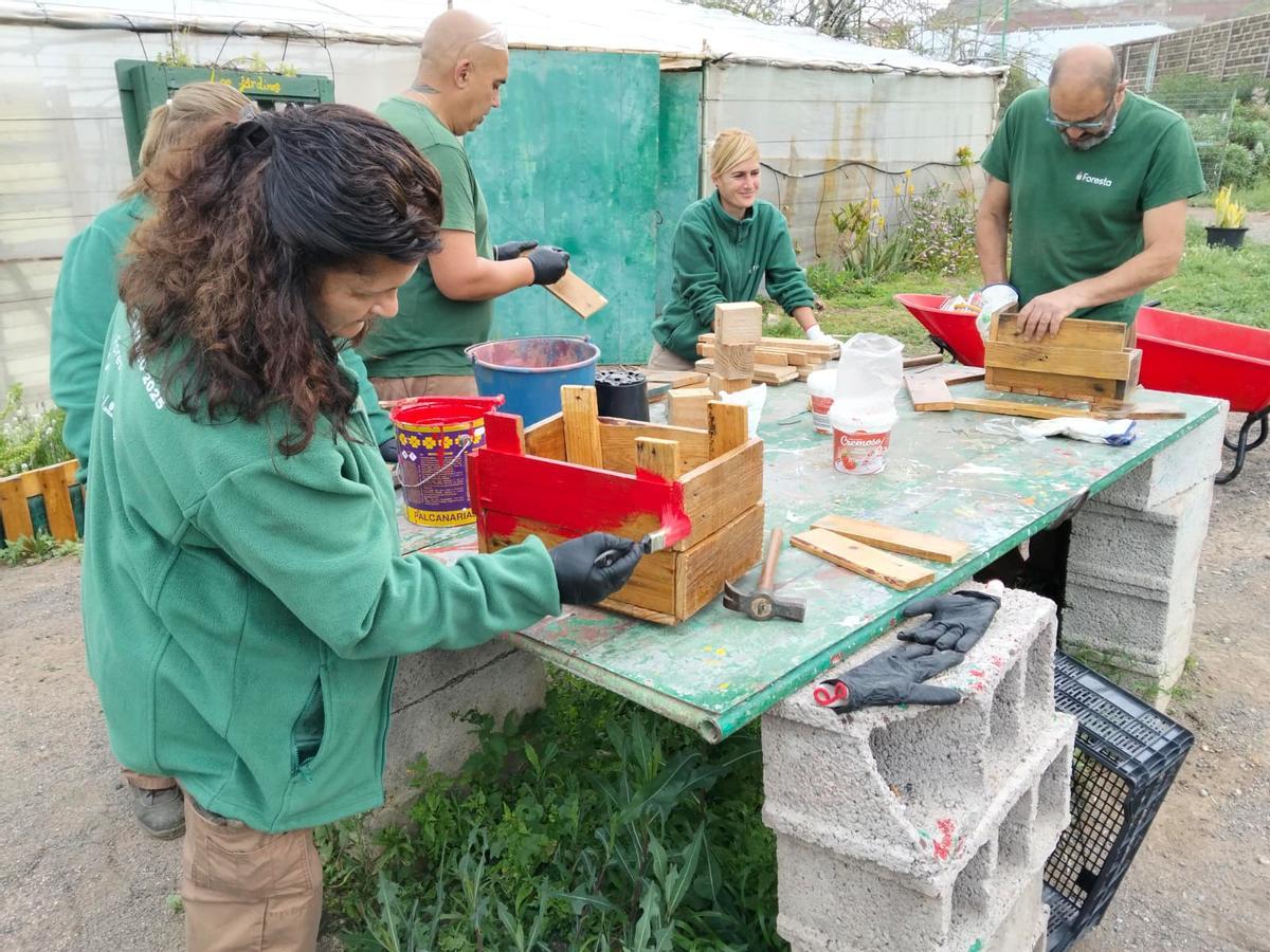 Nueve personas completan su formación en jardinería dentro del proyecto Fomento para el Empleo 2025