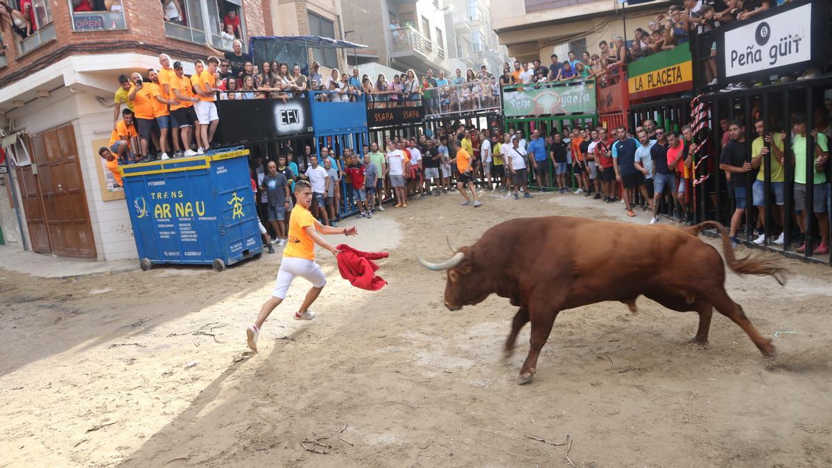 El toro de Juan Pedro Domecq