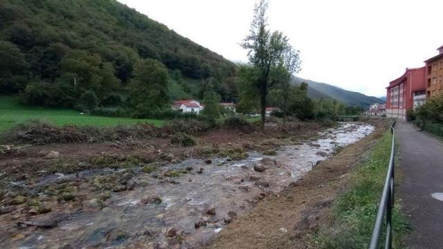 La zona afectada por la tala de árboles.