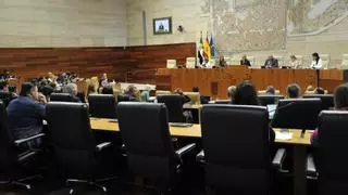 Sigue en directo el pleno | La Asamblea debate sobre financiación autonómica, el AVE y las plazas MIR