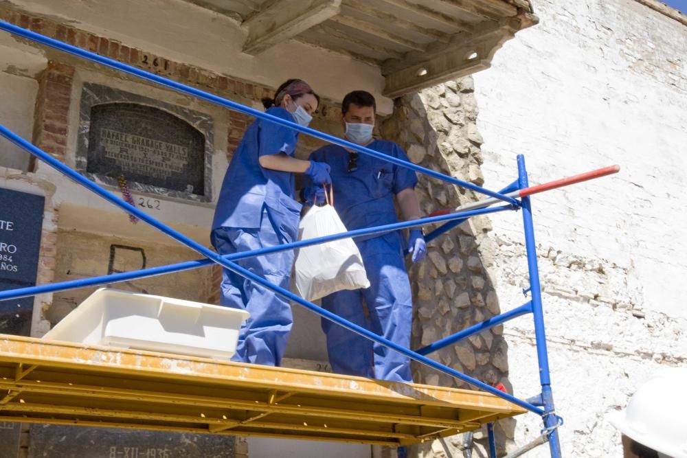 Exhumación fusilados de la guerra civil en el cementerio de Ontinyent