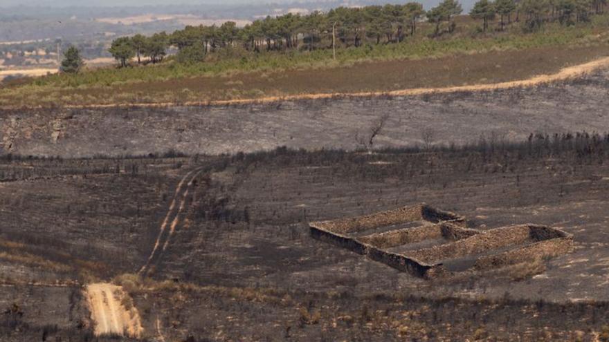 “Imparables, como un Miura”: Losacio se deshace en las llamas de su segunda pesadilla