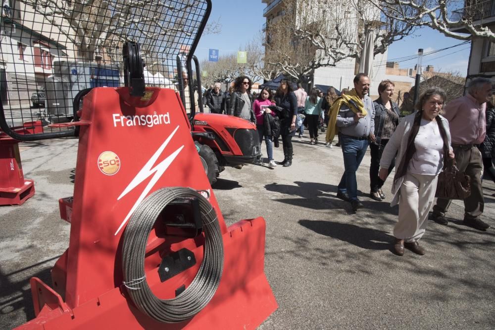 Fira de Primavera de Navàs