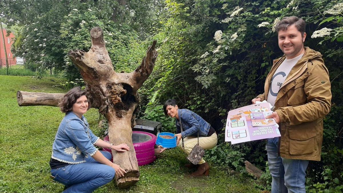 Por la izquierda, Verónica Maluenda, Cristina Fernández y Pelayo Suárez, ayer, en la colonia felina ubicada tras el centro de salud de Noreña. | L. Palacios