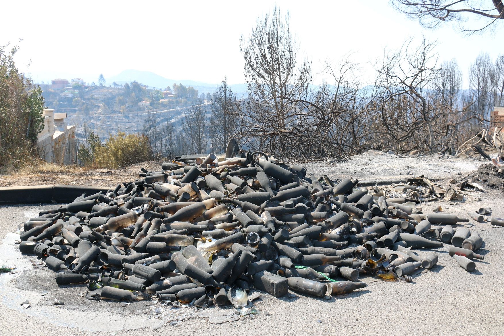 La urbanització River Park arrasada per les flames: veïns desolats i paisatge negre