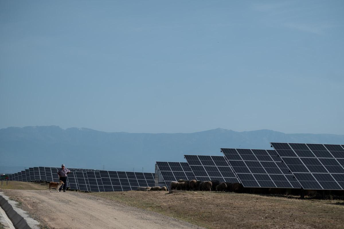 Fotogalería | Las imágenes del acto de inauguración de la mayor batería de almacenamiento de energía de España