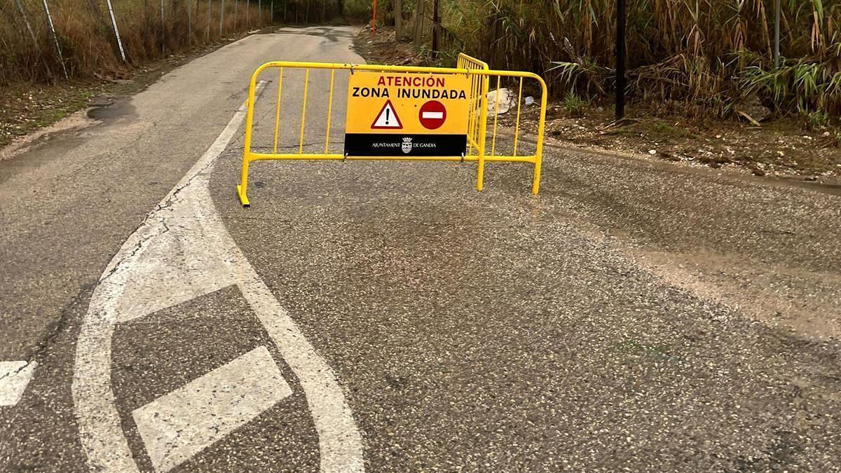 Un camino del marjal de Gandia, cortado esta mañana por las intensas lluvias.