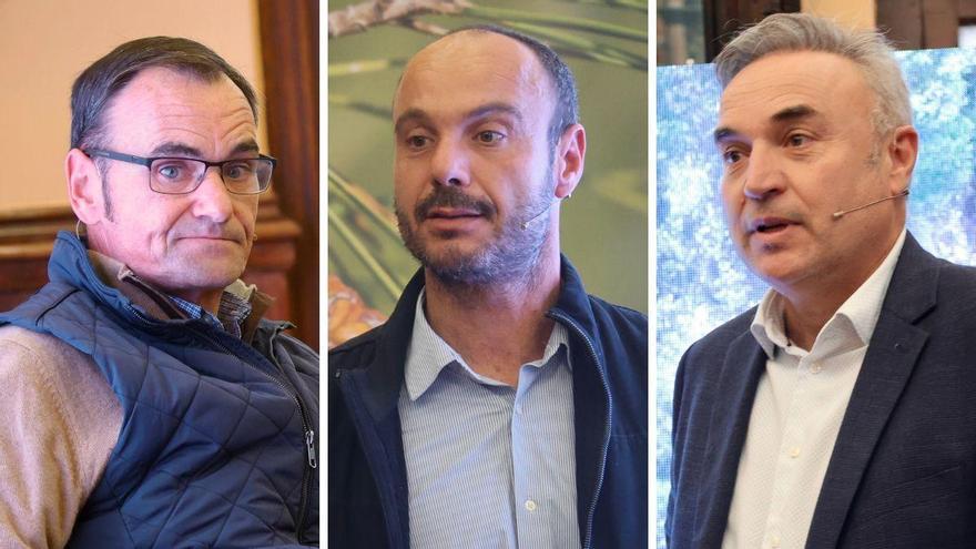 Green Boost, el proyecto que "corta árboles para conservar el monte"