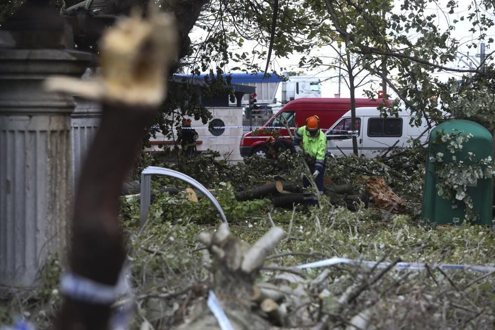 Las consecuencias de la tormenta en Avilés.