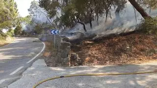 El Infoca controla dos incendios en Ronda y en Casares