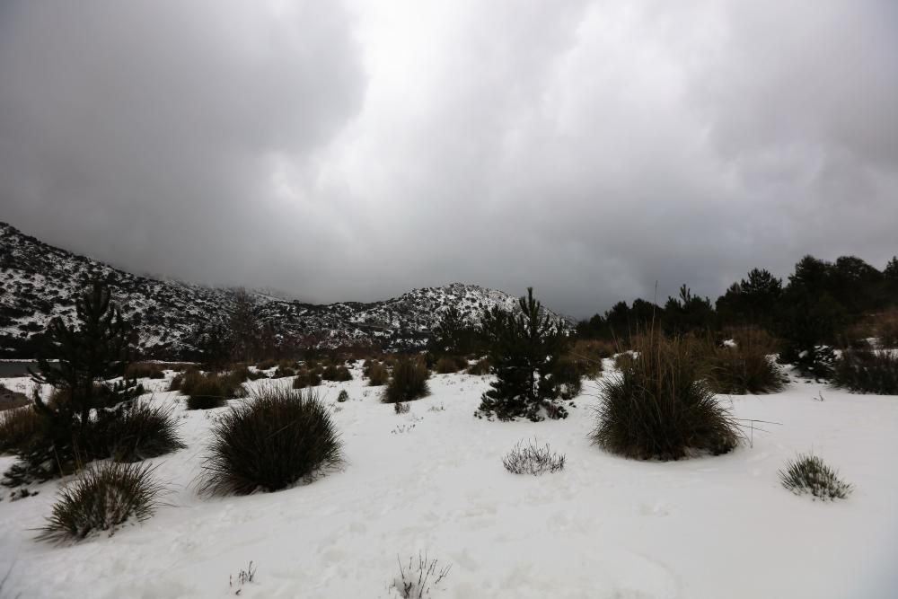 El día después de la intensa nevada en la Serra